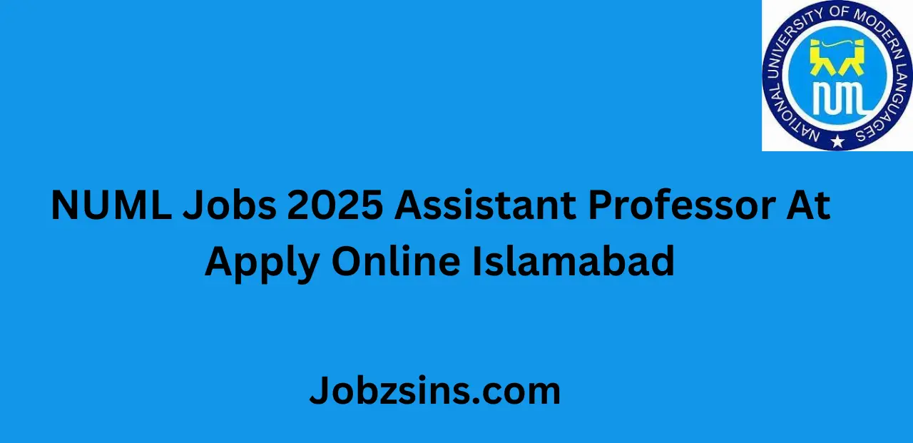 NUML Job 2025 Assistant Professor At Apply Online Islamabad