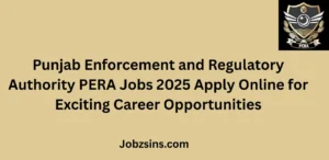 Punjab Enforcement and Regulatory Authority PERA Jobs 2025 Apply Online