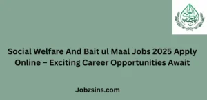 Social Welfare And Bait ul Maal Jobs 2025 Apply Online